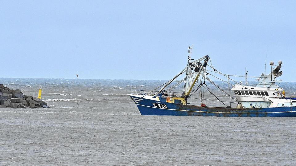 Den belgiske bomtrawler sejlede ind i den nye havns mole, som er under opbygning. Heldigvis fik trawleren trukket sig selv fri fra grundstødningen. <i>Ole Iversen</i>