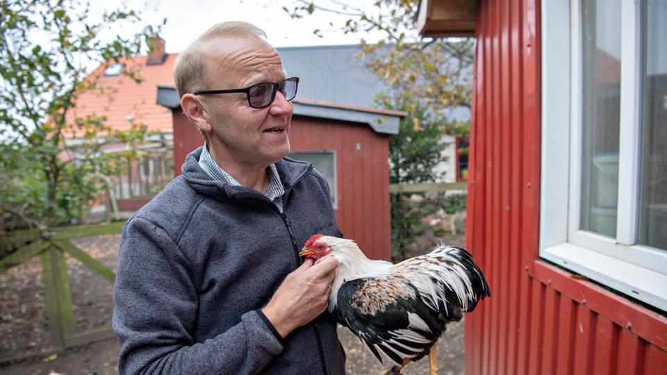 Galleri - Tryk og se alle billederne.