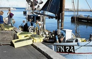 100 år i mod- og medvind for Strandbys fiskere