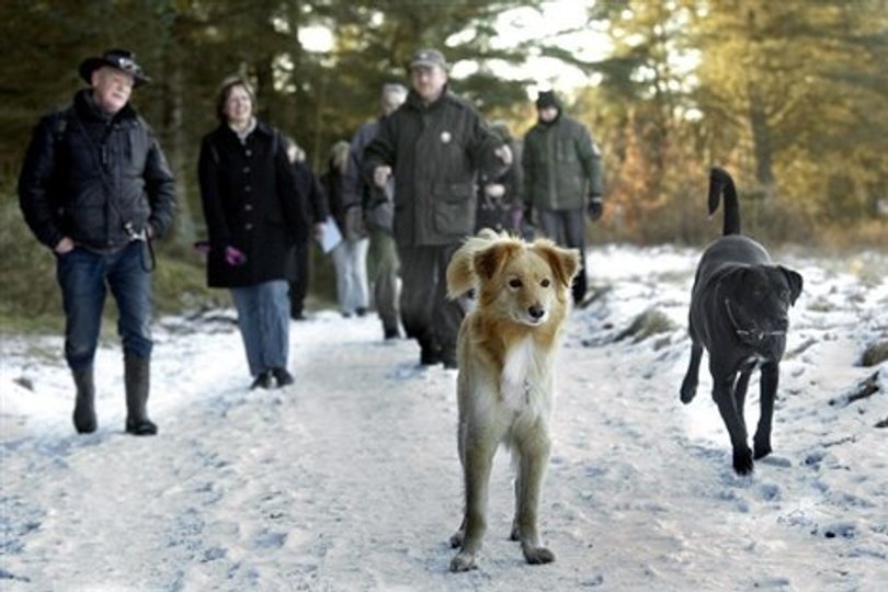 10. marts åbner Aalborg Kommunes første åbne hundeskov mellem Hals og Hus. En tilsvarende findes allerede i Hune Klitplantage. 
Arkivfoto: Lars Pauli