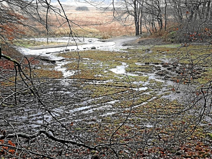 Her er de uoprettelige spor efter de to ATV’eres ulovlige kørsel i kildefeltet. Foto: Naturstyrelsen