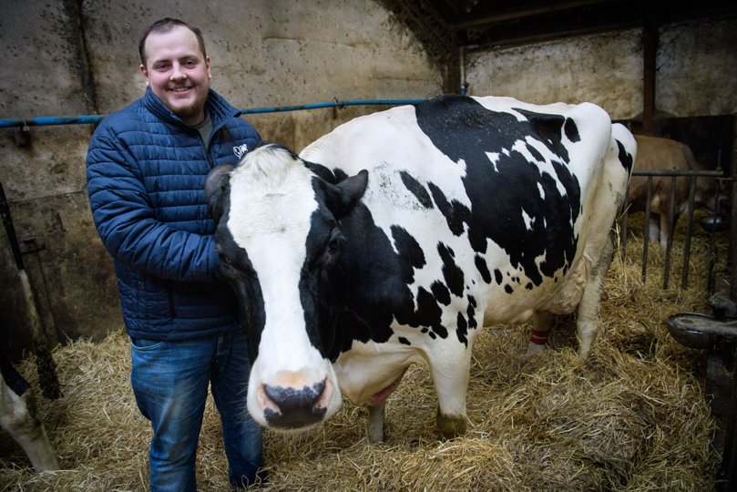 Andreas Møller Haugaard med sin favorit-ko, "Duden" (nr. 3245). Hun er en stor, stærk og meget rolig ko, der giver masser af mælk. Han har knap 600 køer på sin gård. Foto: Bo Lehm <i>Bo Lehm</i>