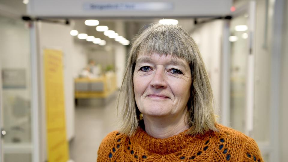 De enkelte hospitalsafdelinger er i gang med at indføre planen, og det kan ses på overbelægningen, som er raslet ned, siger sygeplejefaglig direktør Lisbeth Lagoni. Foto: Lars Pauli <i>Foto: Lars Pauli</i>