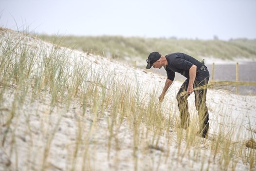 Der bliver plantet hjælme på Sønderstrand i Skagen. Arkivfoto: Henrik Bo