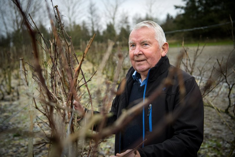 Esben Oddershede er landmand, og selv om han har trappet ned har der alligevel været tid til at forsøge sig på et nyt område, vindyrkning. Bag boligen på Klitmøllervej er der plantet vinstokke, som leverer druer til Esben Oddershedes ”Bleghule-vin”.
