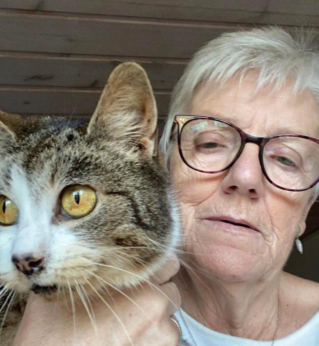 Jytte med katten Lille-Mis, som hun har opkaldt den. Kattens ejere er efterlyst i diverse Facebook-grupper og er blevet delt over 6000 gange. Foto: Privatfoto