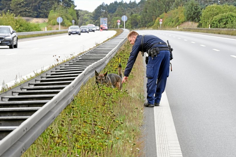 Motorvejen var søndag omkring middag spærret, så politiet kunne søge efter tekniske beviser. Foto: Jan Pedersen