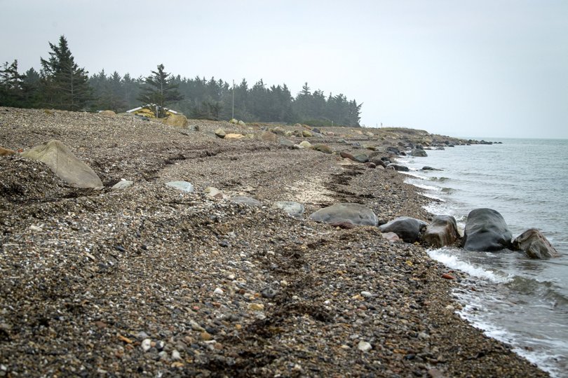 Der bliver også i fremtiden udgifter til vedligeholdelse af kystsikringen ved Ydby Drag. Den kommer alle grundejere, der drager fordel af sikringen, nu til at betale for i fællesskab. Foto: Bo Lehm