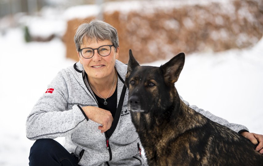I 2021 fik Liselotte Nielsen og schæferen Goa hentet ni pokaler til parcelhuset i Uggerby - hvoraf de fem blev hentet til VM i Ungarn, hvor det bl.a. blev til en 1. plads i spor.Foto: Kim Dahl Hansen