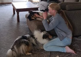 Hundeejer: Jeg blev presset til at udlevere mine hunde
