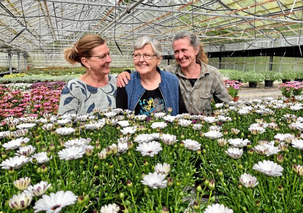 Gartneripiger i to generationer. Fra venstre: Sanne Riis Stokholm, Anne Riis og Dorthe Riis Hansen. Foto: Helge Søgaard