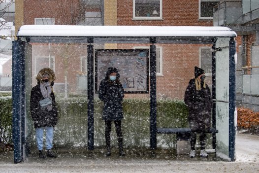 Der er store forsinkelser i den kollektive trafik i Nordjylland. Foto: Bo Lehm <i>Bo Lehm</i>