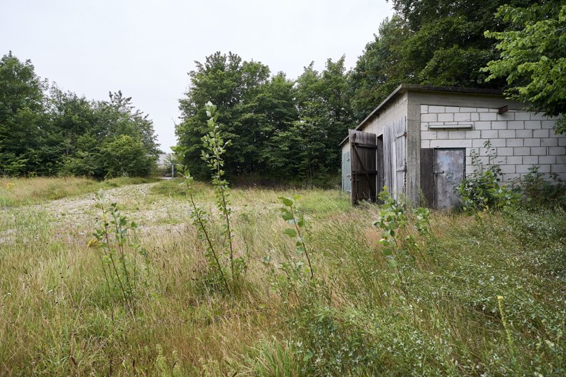 Det er her på den kommunale grund i Gl. Hasseris, der tidligere rummede en grusgrav, et flertal i byrådet vil tillade 24 nye boliger. Arkivfoto: Henrik Bo <i>Foto: Henrik Bo</i>