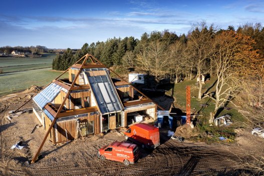 Gamle douglastræer på grunden har måttet lade livet for at blive taget i brug til beklædning. <i>Foto: Lars Pauli</i>