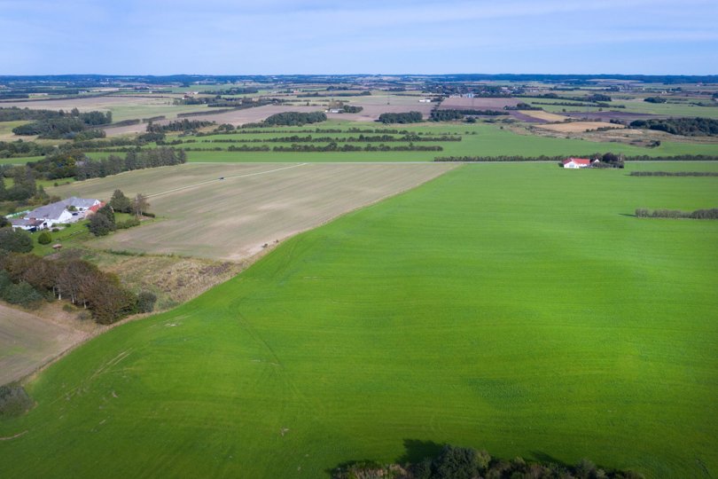 Det er arealet her, der står til at få en stor solcellepark på sig. Alle vil gerne have den grønne energi, men nødigt ofre landskabet. Arkivfoto: Torben Hansen