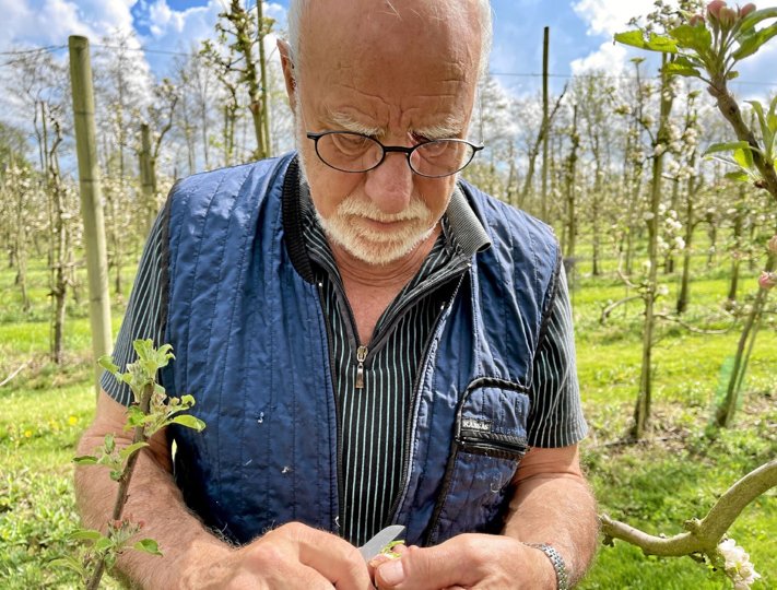 Jens Corneliussen tjekker en blomsterknop. Foto: Helge Søgaard
