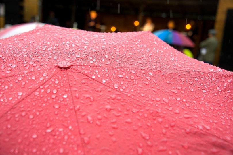 Regn med mere regn, lyder meldingen fra DMI. Arkivfoto: Bo Lehm <i>Bo Lehm</i>