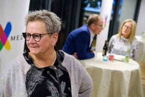 Ulla Vestergaard klart største stemmesluger i Thisted
