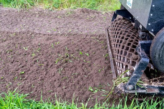 Der skal ikke mange frø til. Kun to kilo per 1000 meter. Derfor er blomstersæden blandet op med sand, inden den får en rundtur i den specialle så-maskine og ud på jorden.