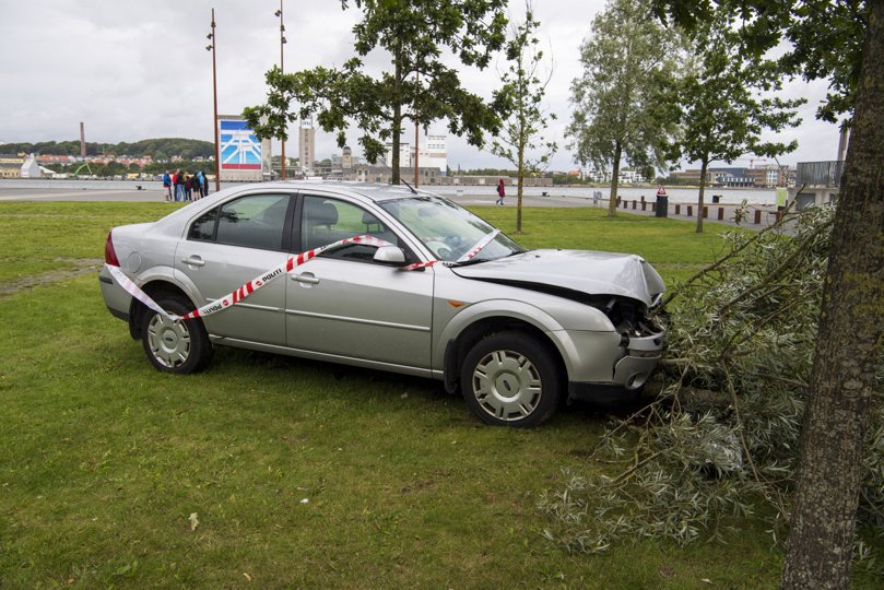 Bilen ramte træet her ved havnen i Aalborg. Foto: Kim Dahl Hansen. <i>Foto: Kim Dahl Hansen</i>