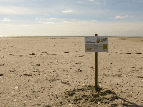 Naturstyrelsen og Mariagerfjord Kommune har sat skilte op på stranden syd for Øster Hurup, hvor de beder strandgæster om at vise hensyn til de ynglende fugle. Foto: Mariagerfjord Kommune