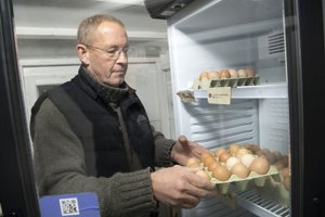 Myndighedernes strenge krav får nordjysk ægtepar til at aflive 700 høns