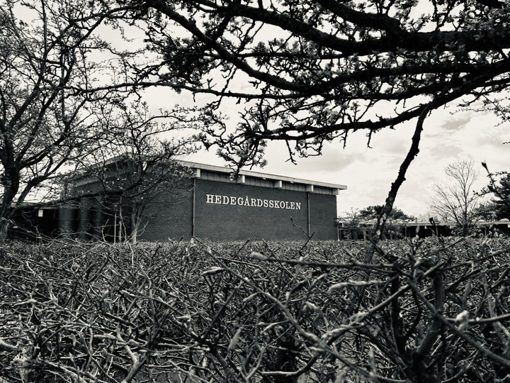 Hedegårdsskolen i Brønderslev er under anklage fra en større gruppe af forældre. For et år siden fik skolen et påbud om at forbedre undervisningsmiljøet i kølvandet på en sag om mobning - men forældrene føler stadig ikke, at problemerne er løst. Foto: Kim Dahl Hansen <i>Foto: Kim Dahl Hansen</i>