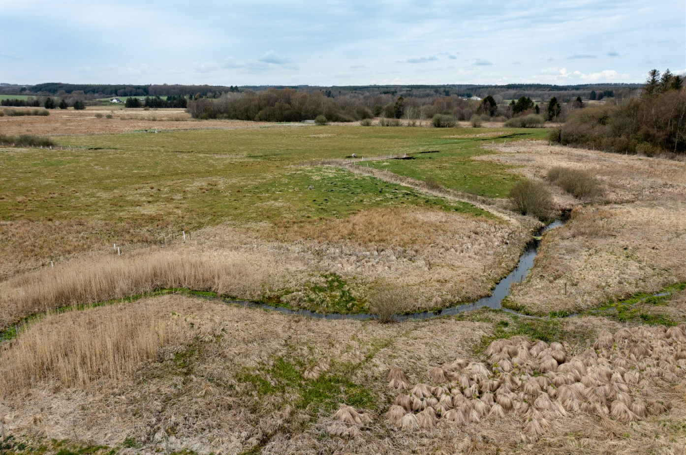 Det bliver i dette naturområde, som kommer til at hedde Villestrup Enge, at Dannie Druehyld bliver æret med sit eget stykke natur. Foto: Jesper Edvardsen