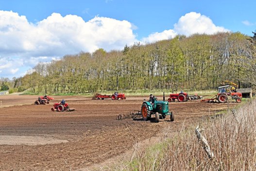 Det er ikke hver dag, man ser sådan en samling gamle traktorer tøffe rundt på den samme mark. Privatfoto