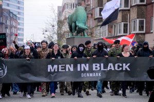 "Frihed for Danmark", romerlys og kanonslag: En person anholdt ved Men in Black-demonstration