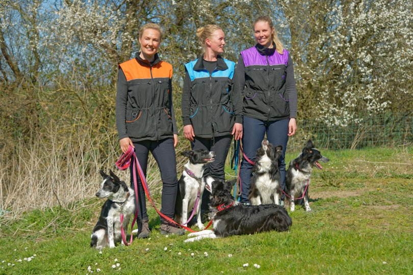 Lea Nor, Tanja Benn og Christina Berantzino står bag certificerede hundetræneruddannelser og herudover har de også netop lanceret streamingtjenesten Hundetv.dk. Privatfoto.