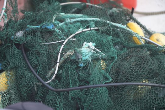 Her er hvad dykkerne viklede ud af færgens propeller. Hvordan rejeruserne er endt i Sleipners bane står endnu uklart. Foto: Bo LehmDet Nordjyske Mediehus <i>Bo Lehm</i>