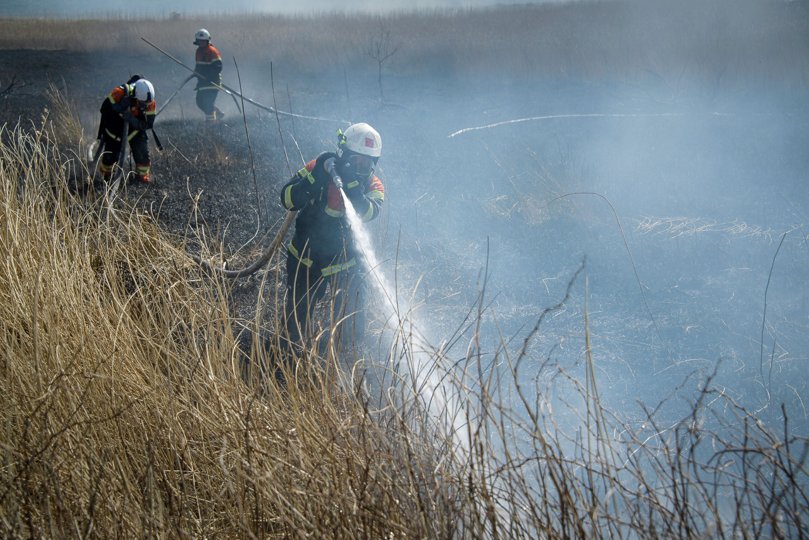 Der er knastørt i naturen lige nu, advarer Nordjyllands Beredskab. Dette foto er dog fra en tidligere brand et andet sted i Nordjylland. Arkivfoto: Bo Lehm <i>Bo Lehm</i>