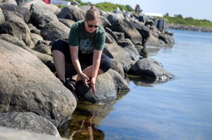 Tina sendte fjordvand til forskere: Dna i vandet afslører fisk