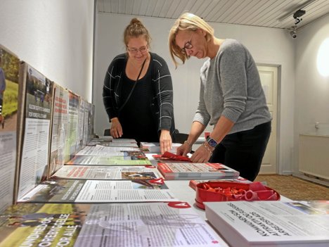 Alt er gratis i buffeten med politiske budskaber.