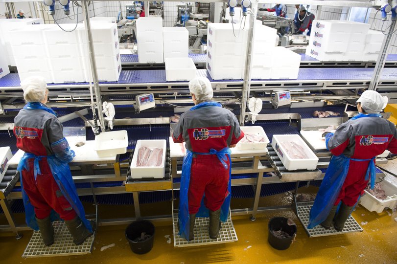 Corona-udbruddet i Hanstholm har været hårdt ved virksomheden Mondo Mar Marine Foods. Arkivfoto: Bo Lehm <i>Bo Lehm</i>