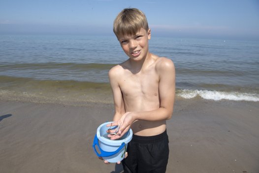 Storm Pedersen fra Hjørring var på Nørlev Strand onsdag ved middagstid med familien - det var ingen sag at finde sild til spanden ... <i>Foto:Henrik Simonsen</i>