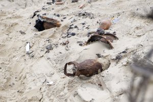 Granat fra krigens tid fundet i Lille Vildmose: Sprængt i luften af bombeeksperter