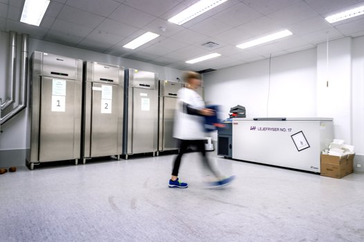 Foto: Torben Hansen