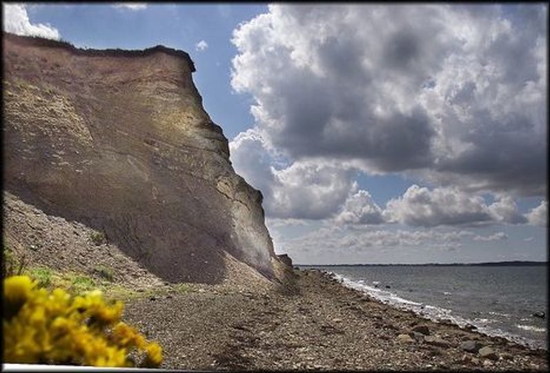 Klinterne og jorden ved Ertebølle har tidligere frembragt interessante arkæologiske fund. Men lørdag var det noget helt andet, der blev gravet frem. Arkivfoto
