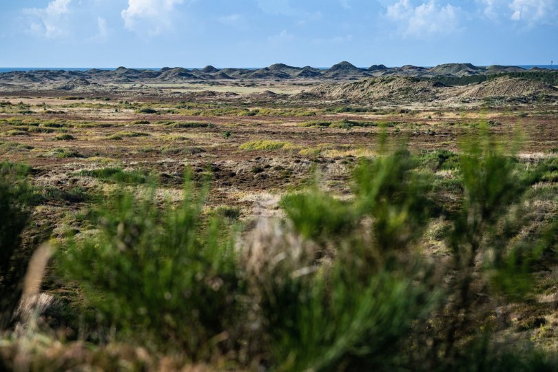 <i>Foto: Henrik Bo</i>