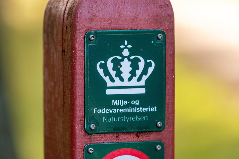 Politikerne på Christiansborg ønsker knap 2600 hektar natur ved Tranum omdannet til en indhegnet naturnationalpark. <i>Foto: Henrik Bo</i>