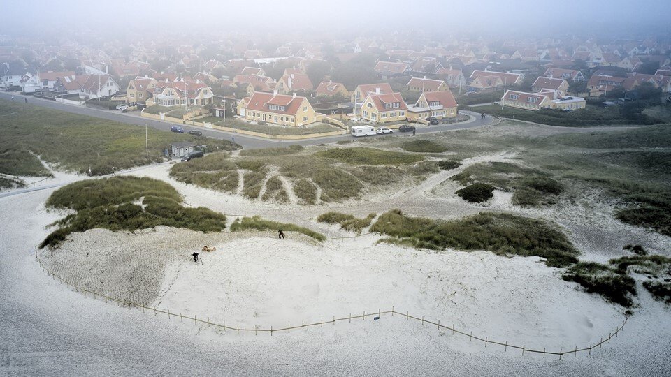 Beplantningen af hjelme på Sønderstrand i Skagen gik i gang i september sidste år. Arkivfoto: Henrik Bo