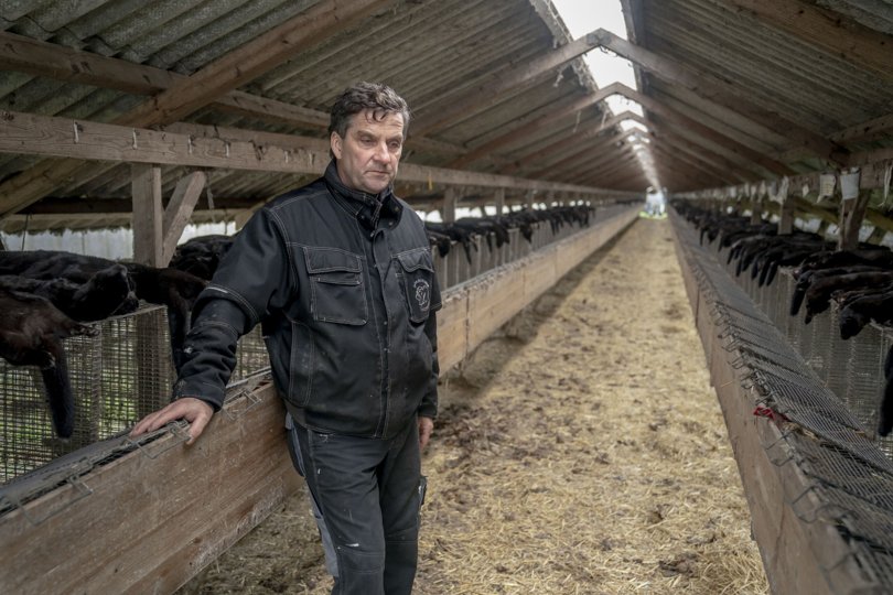 Erik Westergaard, gennem mange år minkavler på Gjøl, i sine tomme minkhaller. Foto: Ritzau Scanpix <i>Ritzau Scanpix</i>