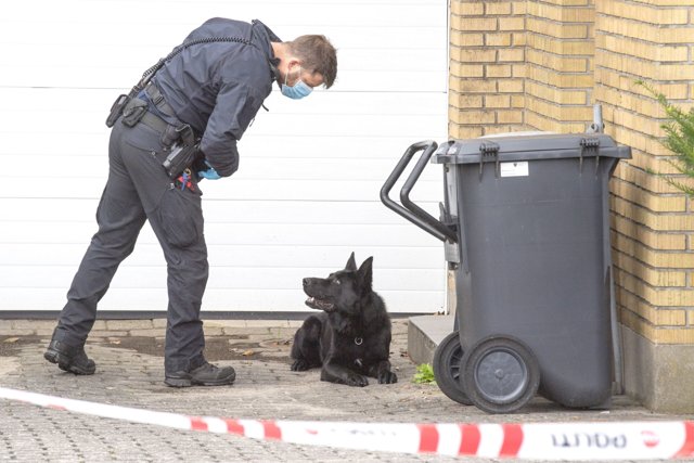 Politihunde søger efter spor ved villaen. Foto: Henrik Louis