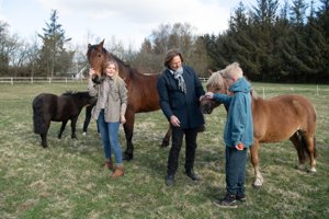 Drømmen om det skønne liv på landet brast: Deres tre heste må ikke bo på gården