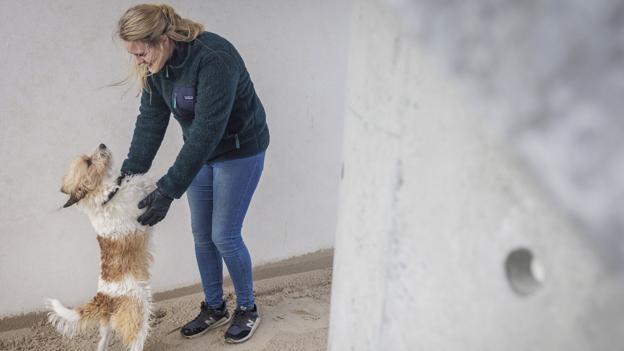 Kristine med sin hund Carlo. Foto: Martin Damgård <i>Martin Damgård</i>