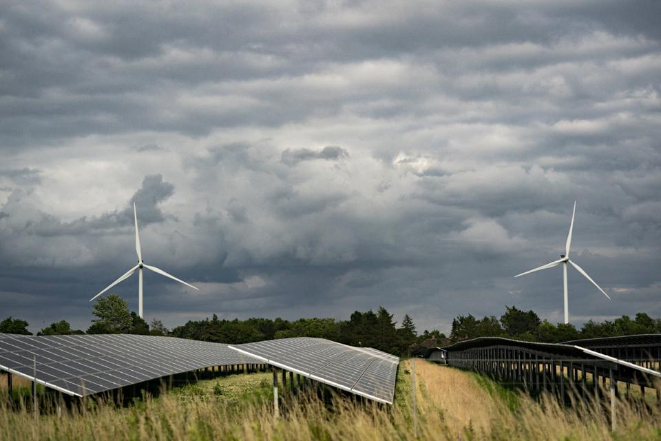 Selskabet Wind Estate vil bygge en energipark med både vindmøller og solceller nord for Kongens Tisted ved Nørager. <i>Arkivfoto: Ida Marie Odgaard/Ritzau Scanpix</i>