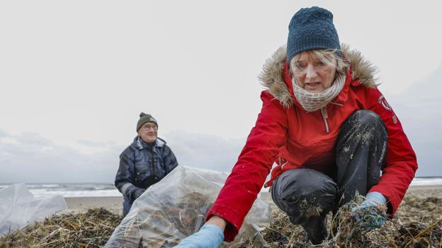 Gitte Rasch passer på naturen, så hun kan bruge den i mange år endnu. Foto: Torben Hansen <i>Foto: Torben Hansen</i>