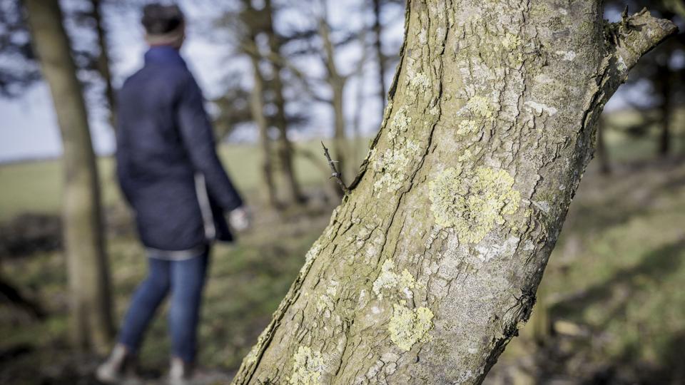 Denne 60-årige kvinde var den første til at fortælle sin historie. Men nu ser det ud til, at der er foregået uhyggeligt mange seksuelle overgreb mod nordjyske kvinder på sygehuset i Hjørring. Overgrebene er angiveligt begået af en i dag afdød læge på stedet. Foto: Martin Damgård <i>Foto: Martin Damgård</i>